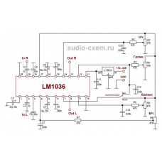 Плата стерео термоблок LM1036 для самостоятельной сборки